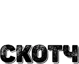 Неваполимер Неваполимер